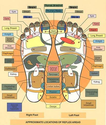 mapa del pie de reflexologia