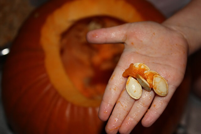 una mano con pipas de calabaza recien sacadas de una calabaza