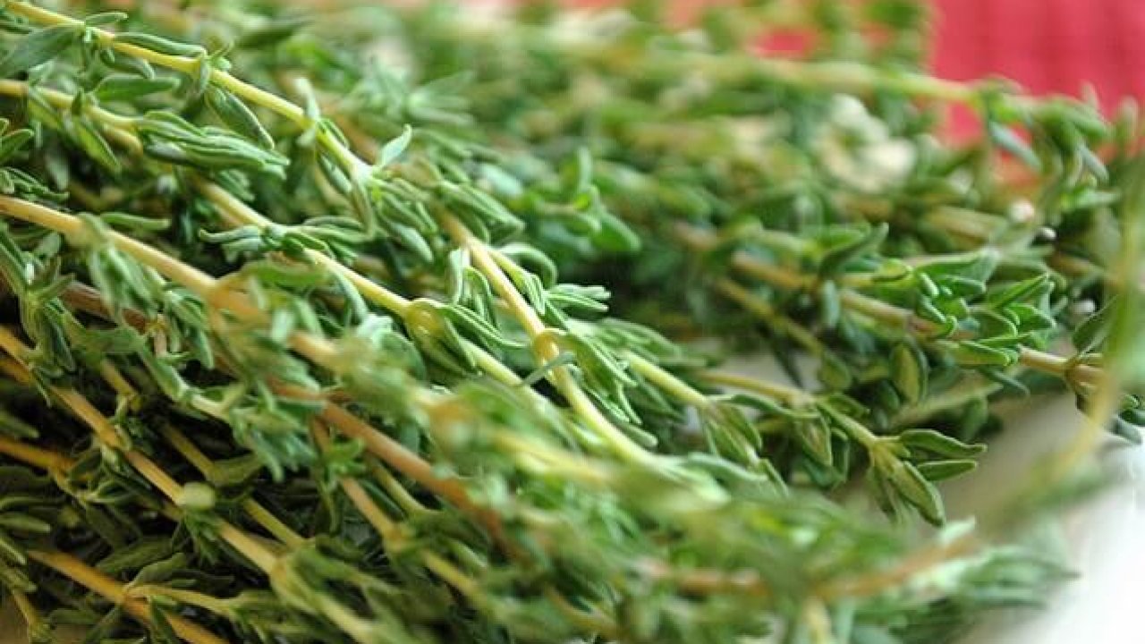 Ingredientes Alquímicos