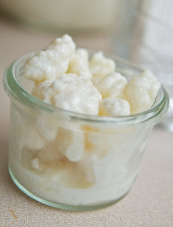 ¿Qué es el Kéfir? - Trucos Naturales