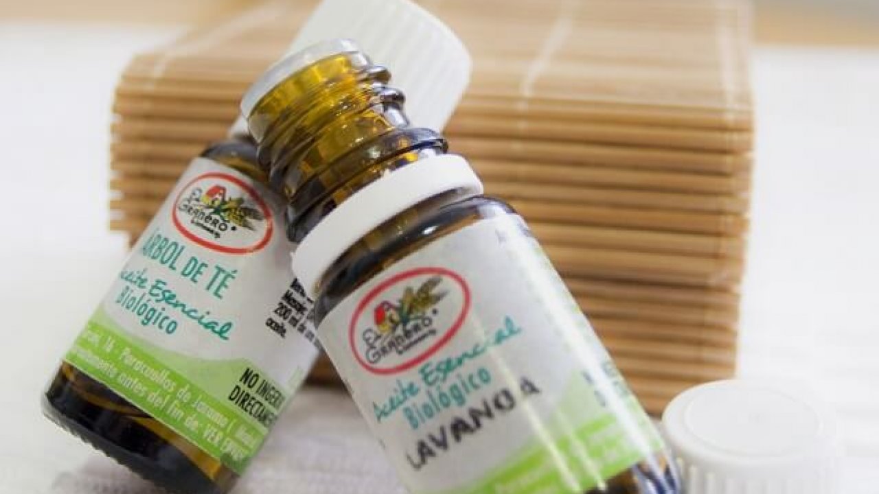 Cera de abeja natural virgen. Propiedades, usos y beneficios - Ecologizate