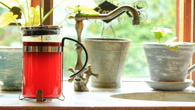 jarrita con rooibos en reposo al lado de una ventana