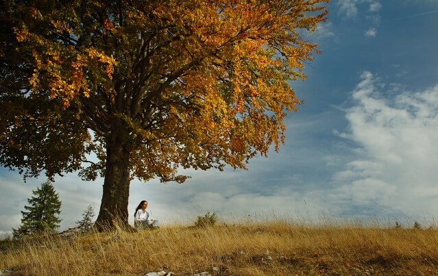 una chica sentada al lado de un arbol enorme en otono