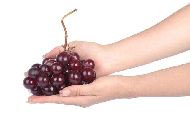 unas manos de mujer sostienen un racimo de uvas