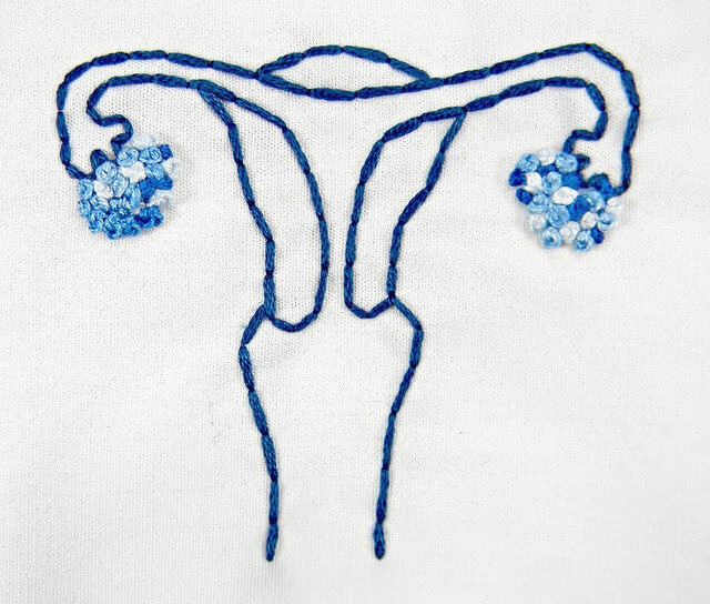 aparato reproductivo femenimo bordado en azul