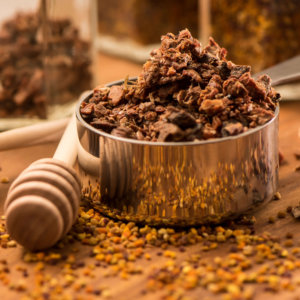 Los secretos de las abejas